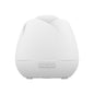 New Rose Aroma Diffuser Negative Ion Diffuser Humidifier Colorful Atmosphere Lamp Aroma Diffuser