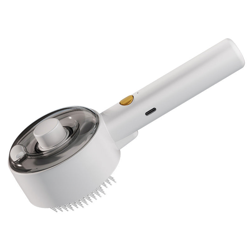 Brosse Vapeur Anti-Poils
